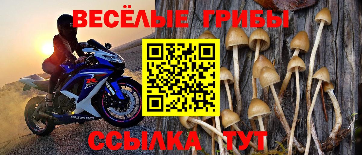 Галлюциногенные грибы GOLDEN TEACHER Учалы